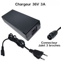 Chargeur 36v Lithium-ion 3A