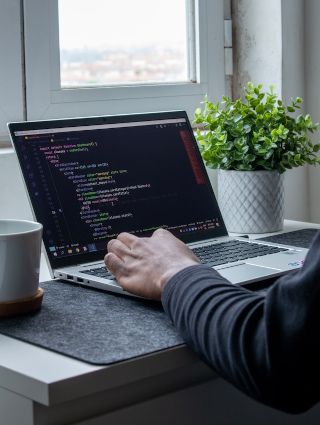Service informatique web_developpeur