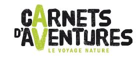 remorque velo