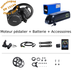 Kit moteur BBS 36V 250W CARGO avec batterie