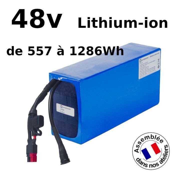 Batterie velo electrique 48v deals