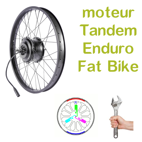 Moteur fat hotsell bike