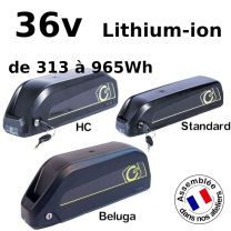 Batterie Trapèze 36V