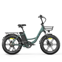 Eletronbike OC20 - batterie 48v 13Ah