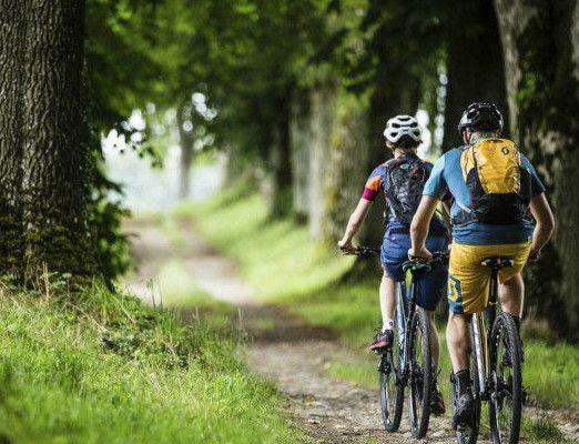 Vélo électrique - Des kits pour transformer votre vélo - Enquête - UFC-Que  Choisir