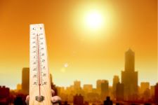 Canicule Canicule